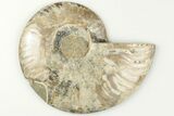 3.45" Cut & Polished Ammonite Fossil (Half) - Madagascar - #200060-1